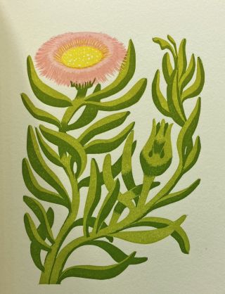 Late Spring Miscellany (2025)