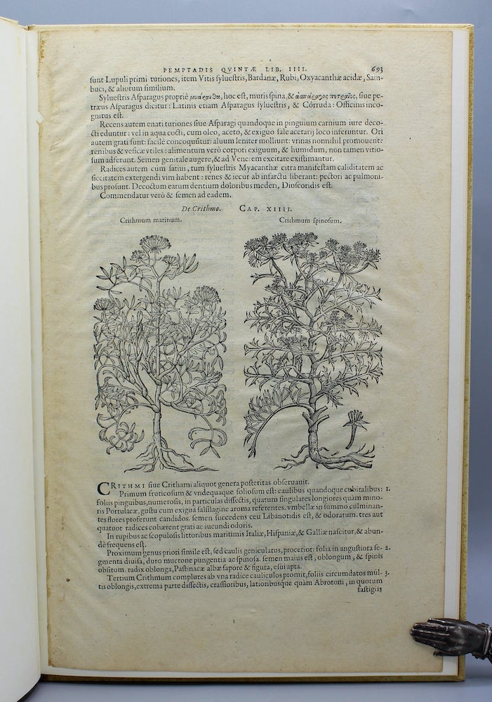 Item #13154 A Leaf from the 1583 Rembert Dodoens Herbal Printed by Christopher Plantin. With a short essay by Carey S. Bliss. Rembert Dodoens.