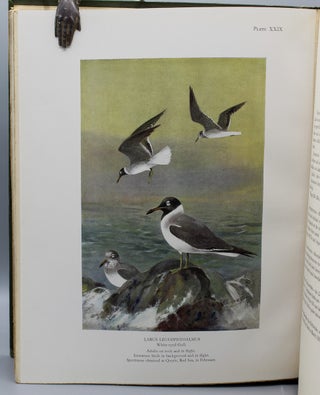 Nicoll’s Birds of Egypt. Published under the authority of the Egyptian Government.