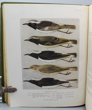 Nicoll’s Birds of Egypt. Published under the authority of the Egyptian Government.