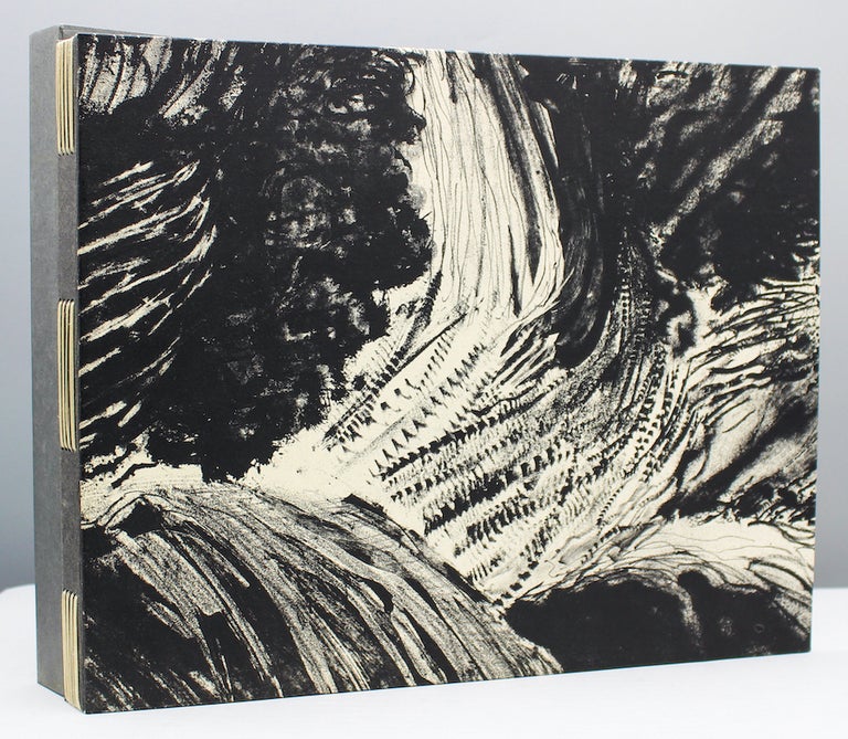 Item #16302 In Black and White: Landscape Prints by Claire Van Vliet. Claire Van Vliet, Genetta McLean.