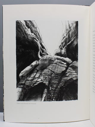In Black and White: Landscape Prints by Claire Van Vliet.