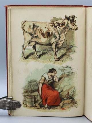 Favourite Pleasure Books for Young People. Illustrated with 100 Pictures by John Absolon, Edward Wehnert, and Harrison Weir.
