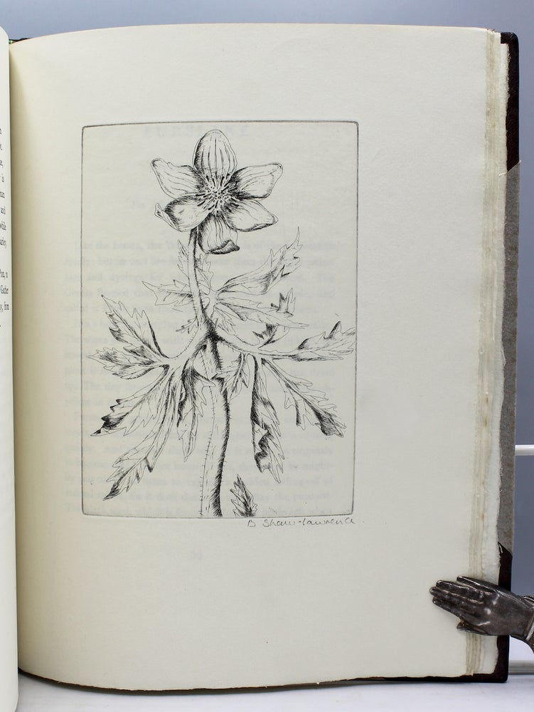 Item #164888 An Herbarium for the Fair. Being a Book of Common Herbs with Etchings by Betty Shaw-Lawrence. Together with Curious Notes on their Histories and Uses for the Furtherance of Loveliness and Love. Hand, Flower Press.