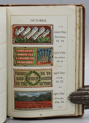 The Illuminated Scripture Text Book with Interleaved Diary for Memoranda and a Coloured Illustration for Every Day.