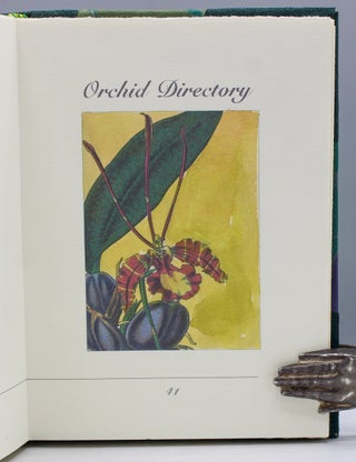 A Brief History of the Orchid