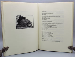 Tortoises. Six Poems by D.H. Lawrence.