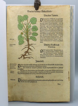 Paper Botanists: Cultivators of Artifice.