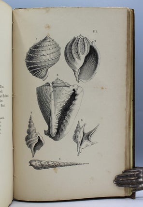 Item #17432 Lessons on Shells, as Given to the Children Between the Ages of Eight and Ten, in a...