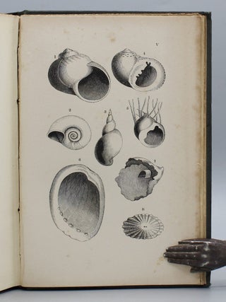 Lessons on Shells, as Given to the Children Between the Ages of Eight and Ten, in a Pestalozzian School.