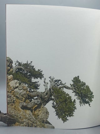 A Bonsai-Shaped Mind and Postures of the Heart. Designed and co-published by David Pascoe of Nawakum Press and Richard Wagener of Mixolydian Editions.