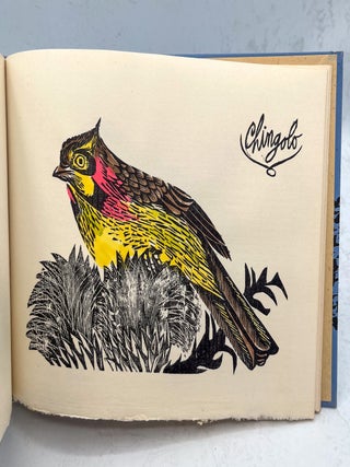 Birds from My Homeland. With Notes from W.H. Hudson’s “Birds of La Plata.