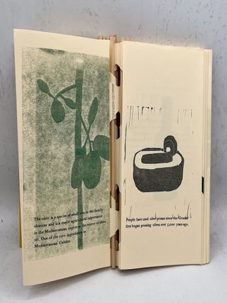 Toot Toot! A Book About Fruit