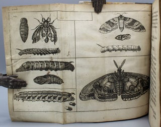 De insectis, In Methodum Redactus; cum notularum additione. Operâ M. Lister, è Regiâ Societate Londinensi... Item appendicis ad Historiam Animalium Angliæ...